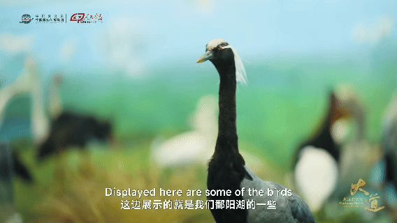 cee3f6c043104437b3c56615de3c2bc9.jpg