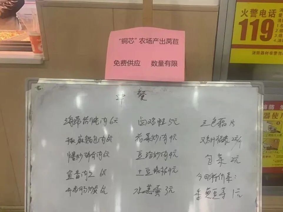 image14.jpeg